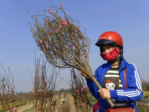 Không khí đón Tết Việt trên báo nước ngoài - ảnh 8